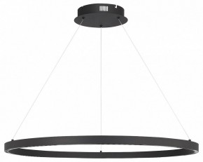Подвесной светильник ST-Luce PARILLA SL6238.443.01 в Тобольске - tobolsk.mebel24.online | фото 3