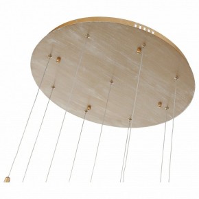 Подвесной светильник ST-Luce SL1116 SL1116.203.09 в Тобольске - tobolsk.mebel24.online | фото 4