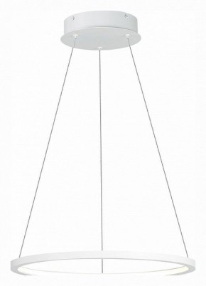 Подвесной светильник ST-Luce ST603 IN ST603.543.22 в Тобольске - tobolsk.mebel24.online | фото 3