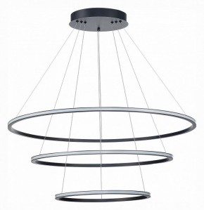 Подвесной светильник ST-Luce ST604 OUT ST604.443.114 в Тобольске - tobolsk.mebel24.online | фото 2