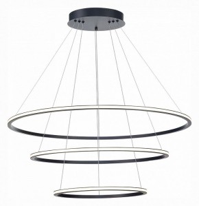 Подвесной светильник ST-Luce ST604 OUT ST604.443.114 в Тобольске - tobolsk.mebel24.online | фото 3
