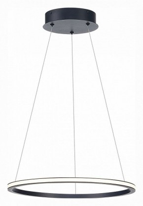 Подвесной светильник ST-Luce ST604 OUT ST604.443.22 в Тобольске - tobolsk.mebel24.online | фото 3