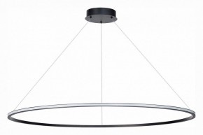 Подвесной светильник ST-Luce ST604 OUT ST604.443.46 в Тобольске - tobolsk.mebel24.online | фото 2