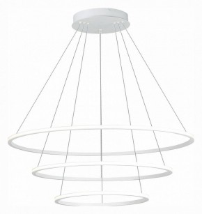 Подвесной светильник ST-Luce ST604 OUT ST604.543.114 в Тобольске - tobolsk.mebel24.online | фото 3