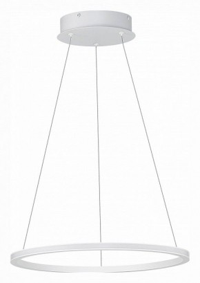 Подвесной светильник ST-Luce ST604 OUT ST604.543.22 в Тобольске - tobolsk.mebel24.online | фото 2
