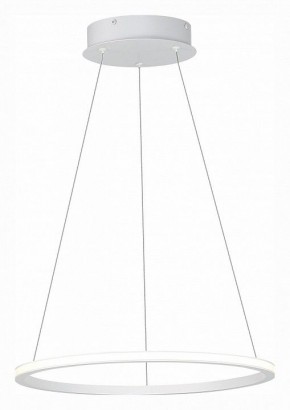 Подвесной светильник ST-Luce ST604 OUT ST604.543.22 в Тобольске - tobolsk.mebel24.online | фото 3