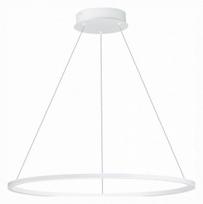 Подвесной светильник ST-Luce ST604 OUT ST604.543.34 в Тобольске - tobolsk.mebel24.online | фото 2