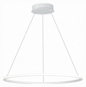 Подвесной светильник ST-Luce ST604 OUT ST604.543.34 в Тобольске - tobolsk.mebel24.online | фото 3