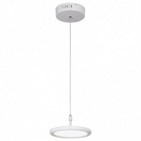 Подвесной светильник Vitaluce V4604 V4604-0/1S в Тобольске - tobolsk.mebel24.online | фото 2