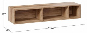 Полка навесная ТД-102.28 в Тобольске - tobolsk.mebel24.online | фото 9