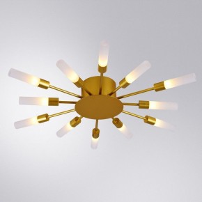 Потолочная люстра Arte Lamp Maple A1276PL-12GO в Тобольске - tobolsk.mebel24.online | фото 1