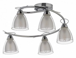Потолочная люстра Arti Lampadari Paola, Tavenna Nickel Paola E 1.1.5 N в Тобольске - tobolsk.mebel24.online | фото