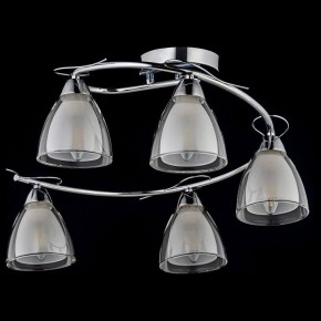 Потолочная люстра Arti Lampadari Paola, Tavenna Nickel Paola E 1.1.5 N в Тобольске - tobolsk.mebel24.online | фото 2