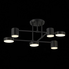 Потолочная люстра EVOLUCE Nobel SLE201042-06 в Тобольске - tobolsk.mebel24.online | фото 13