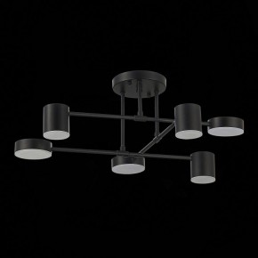 Потолочная люстра EVOLUCE Nobel SLE201042-06 в Тобольске - tobolsk.mebel24.online | фото 14