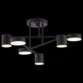Потолочная люстра EVOLUCE Nobel SLE201042-06 в Тобольске - tobolsk.mebel24.online | фото 6