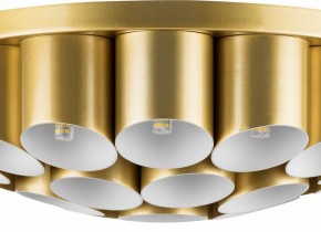 Потолочная люстра Lightstar Siena 720222 в Тобольске - tobolsk.mebel24.online | фото 3