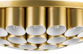 Потолочная люстра Lightstar Siena 720402 в Тобольске - tobolsk.mebel24.online | фото 3