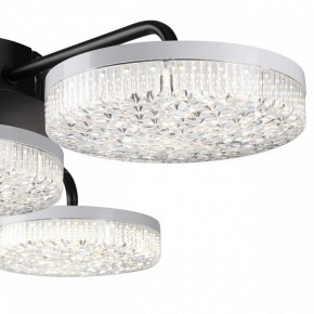 Потолочная люстра Lumion Didana 8236/4CL в Тобольске - tobolsk.mebel24.online | фото 7