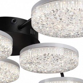 Потолочная люстра Lumion Didana 8236/6CL в Тобольске - tobolsk.mebel24.online | фото 9