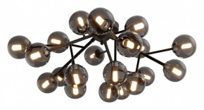 Потолочная люстра Maytoni Dallas MOD545CL-20B в Тобольске - tobolsk.mebel24.online | фото 2