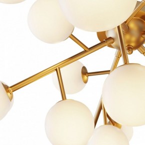 Потолочная люстра Maytoni Dallas MOD545CL-20BS в Тобольске - tobolsk.mebel24.online | фото 2