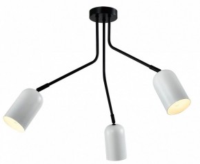 Потолочная люстра Rivoli Rosalinda Б0064987 в Тобольске - tobolsk.mebel24.online | фото 2