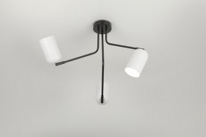 Потолочная люстра Rivoli Rosalinda Б0064987 в Тобольске - tobolsk.mebel24.online | фото 7