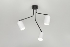 Потолочная люстра Rivoli Rosalinda Б0064987 в Тобольске - tobolsk.mebel24.online | фото 8