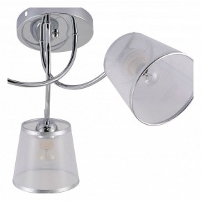 Потолочная люстра Rivoli Shirley Б0059981 в Тобольске - tobolsk.mebel24.online | фото 5