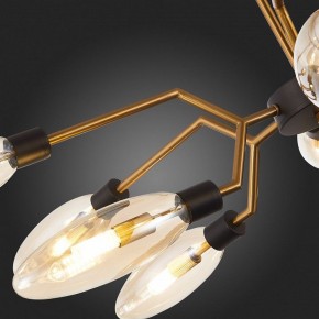 Потолочная люстра ST-Luce Desima SL1174.303.12 в Тобольске - tobolsk.mebel24.online | фото 10
