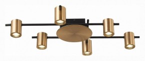 Потолочная люстра ST-Luce Veroli SL1207.402.06 в Тобольске - tobolsk.mebel24.online | фото 3