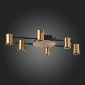 Потолочная люстра ST-Luce Veroli SL1207.402.06 в Тобольске - tobolsk.mebel24.online | фото 4
