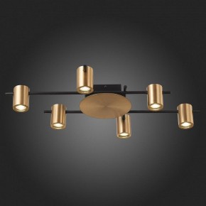 Потолочная люстра ST-Luce Veroli SL1207.402.06 в Тобольске - tobolsk.mebel24.online | фото 6
