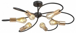Потолочная люстра Vitaluce V3076 V3076-1/6PL в Тобольске - tobolsk.mebel24.online | фото 3