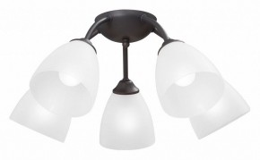 Потолочная люстра Vitaluce V3184 V3737-2/5PL в Тобольске - tobolsk.mebel24.online | фото