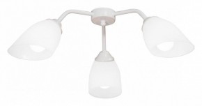 Потолочная люстра Vitaluce V31950 V31950/3PL в Тобольске - tobolsk.mebel24.online | фото