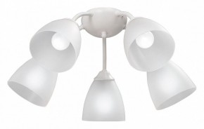 Потолочная люстра Vitaluce V3737 V3737-0/5PL в Тобольске - tobolsk.mebel24.online | фото