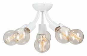 Потолочная люстра Vitaluce V3927 V3927-0/6PL в Тобольске - tobolsk.mebel24.online | фото