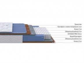 PROxSON Матрас Active Duo M/F (Ткань Трикотаж Эко) 80x190 в Тобольске - tobolsk.mebel24.online | фото 2