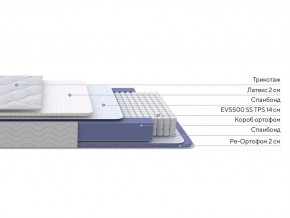 PROxSON Матрас Active Duo S/F (Ткань Трикотаж Эко) 120x200 в Тобольске - tobolsk.mebel24.online | фото 2