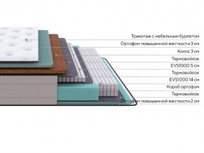 PROxSON Матрас Elysium Firm (Трикотаж Spiral-RT) 120x200 в Тобольске - tobolsk.mebel24.online | фото 2