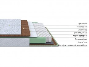 PROxSON Матрас Green Duo M/F (Tricotage Dream) 140x195 в Тобольске - tobolsk.mebel24.online | фото 2