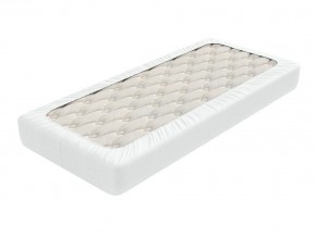 PROxSON Защитный чехол Aqua Save Light M (Ткань влагостойкая Tencel Jersey) 80x195 в Тобольске - tobolsk.mebel24.online | фото 2