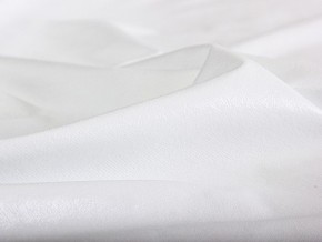 PROxSON Защитный чехол Aqua Save M (Ткань влагостойкая Terry Cloth) 90x190 в Тобольске - tobolsk.mebel24.online | фото 6