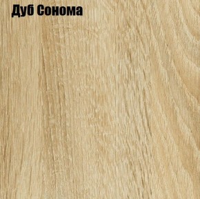 ЧЕЛСИ Шкаф 2-х створчатый (2УПК) комбинированный в Тобольске - tobolsk.mebel24.online | фото 4