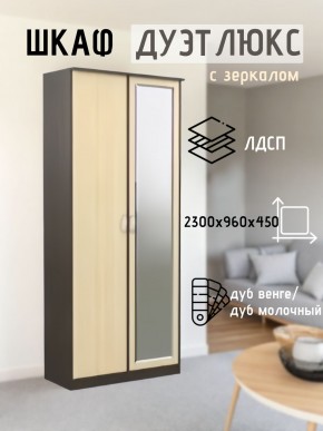Шкаф 2-х створчатый Дуэт Люкс с зеркалом в Тобольске - tobolsk.mebel24.online | фото 1