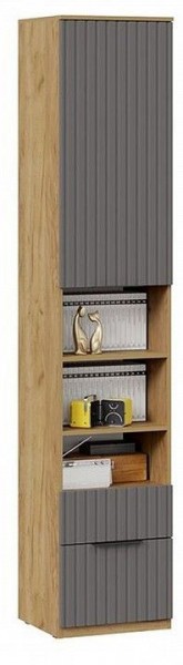 Шкаф комбинированный Хилтон Исп. 2 в Тобольске - tobolsk.mebel24.online | фото 4