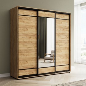 Шкаф-купе Акцент-Лайт ДЗ 2400-600 в Тобольске - tobolsk.mebel24.online | фото 4