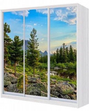 Шкаф-купе ХИТ 22-18-777 ПРИРОДА в Тобольске - tobolsk.mebel24.online | фото